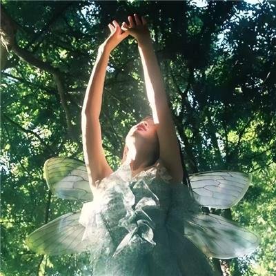 啄木鸟伍迪之泼冷水